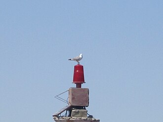 Photo of Bekalta, E. jetty
