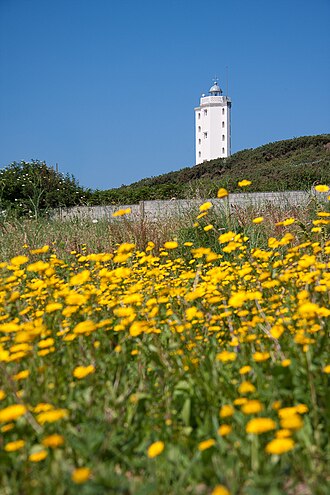 Photo of Mera Lighthouses