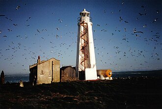 Photo of Lady Isle Lighthouse