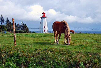 Photo of Panmure Head Lighthouse