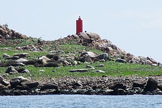 Photo of Isla Huevos Lighthouse
