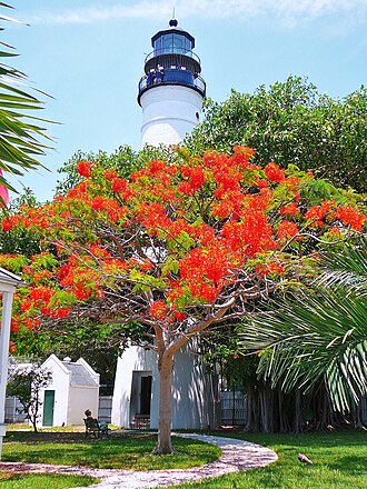 Photo of Key West lighthouse